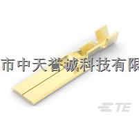 供應(yīng)TE：170349-1-170349-1盡在買賣IC網(wǎng)